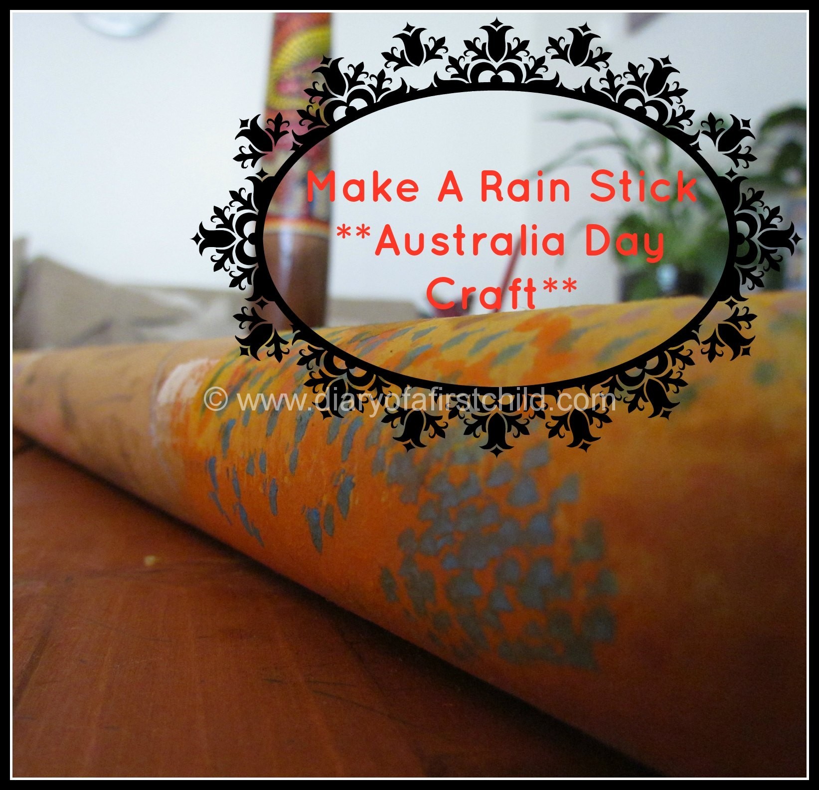 Australia Day Rain Stick