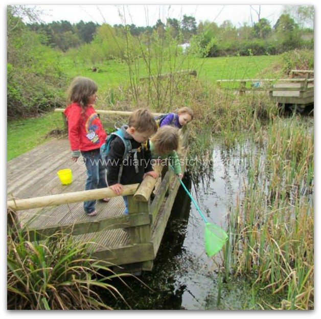 Discover What's In A Pond - Diary of a First Child